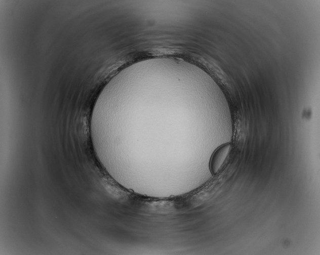 X0000099470426200805301600