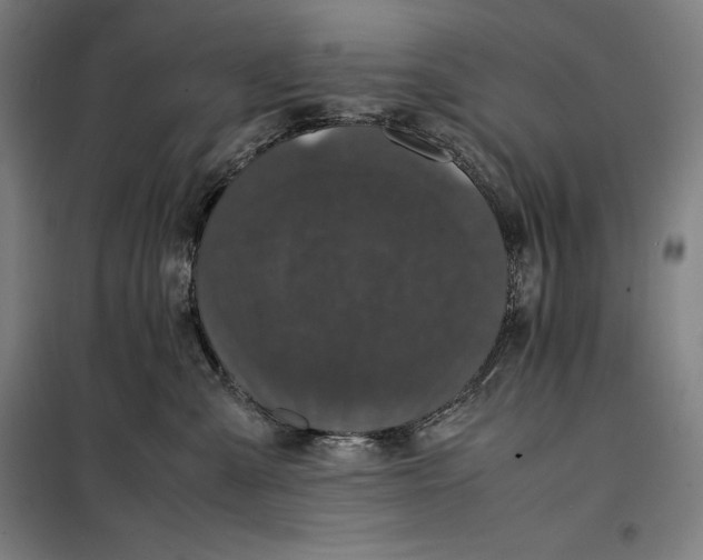 X0000099470427200805301600