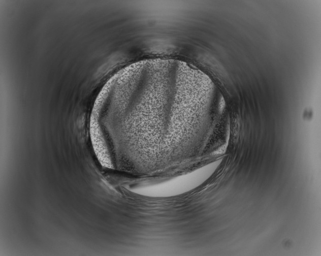 X0000099470428200805301600