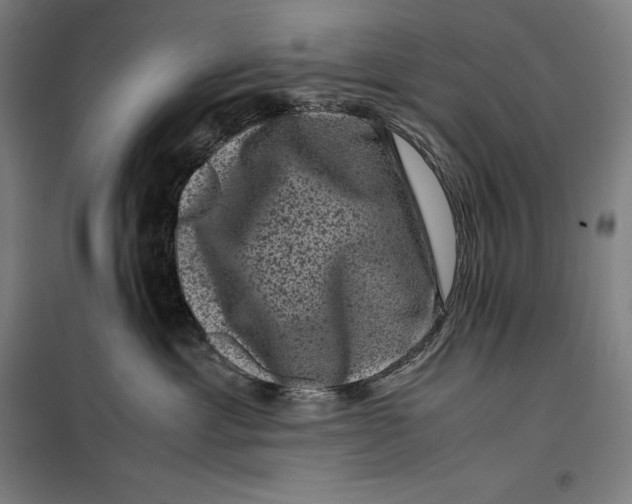 X0000099470429200805301600