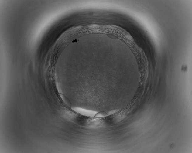 X0000099470431200805301600