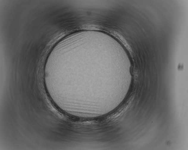 X0000099470433200805301600