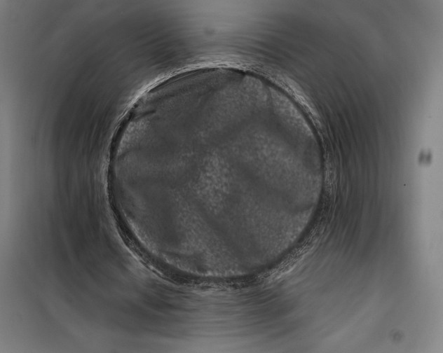 X0000099470434200805301600