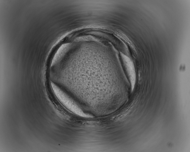 X0000099470436200805301600