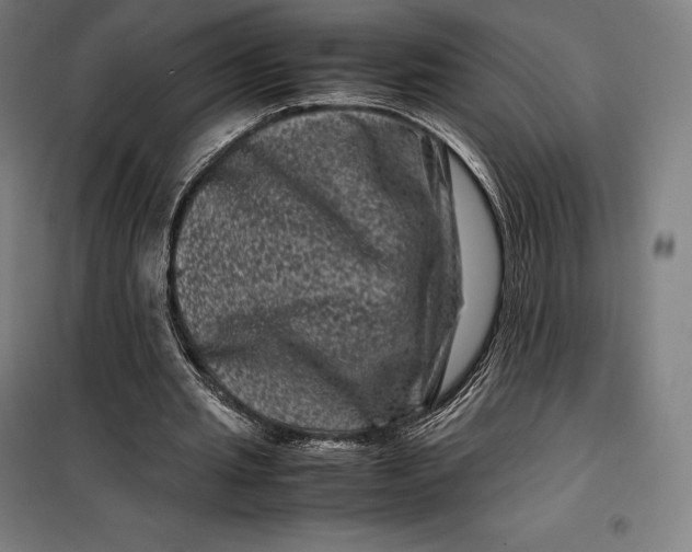 X0000099470437200805301600