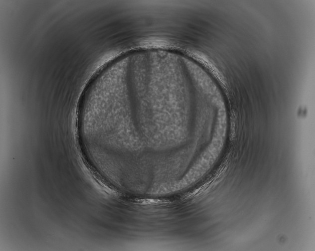 X0000099470439200805301600