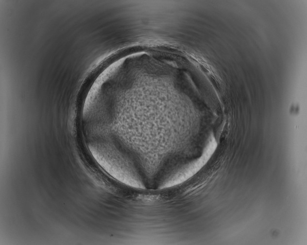 X0000099470440200805301600