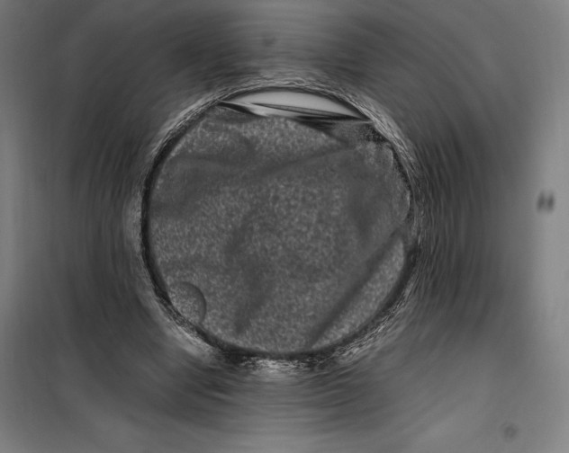 X0000099470442200805301600