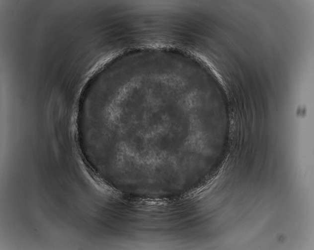 X0000099470443200805301600