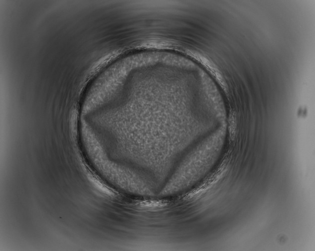 X0000099470445200805301600