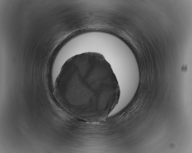 X0000099470448200805301600