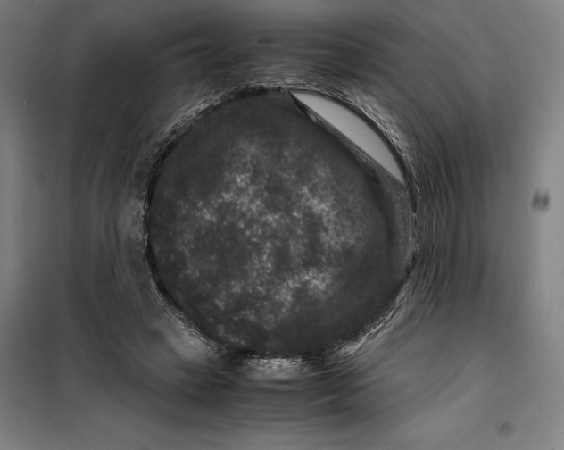 X0000099470449200805301600