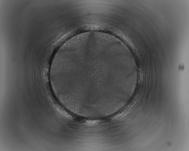 X0000099470450200805301600