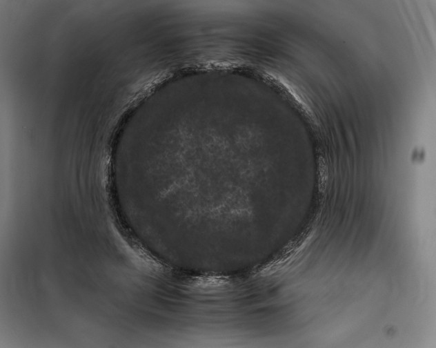 X0000099470451200805301600