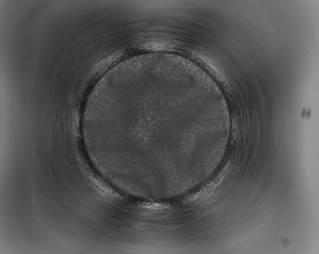 X0000099470453200805301600