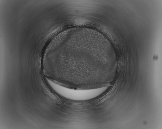 X0000099470454200805301600