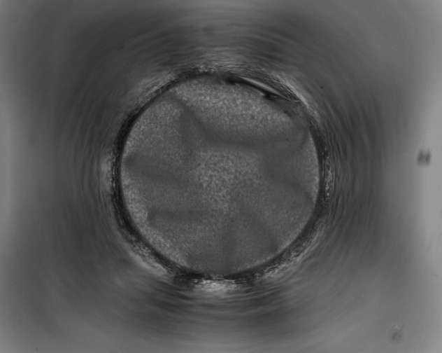 X0000099470455200805301600