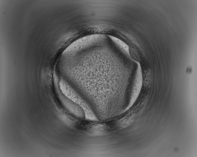 X0000099470456200805301600