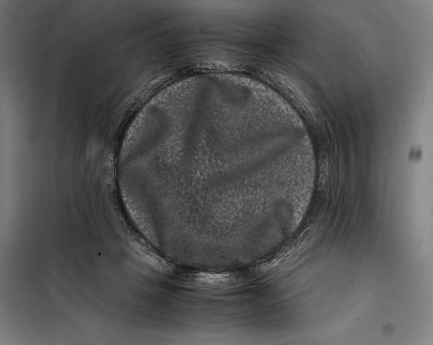 X0000099470457200805301600