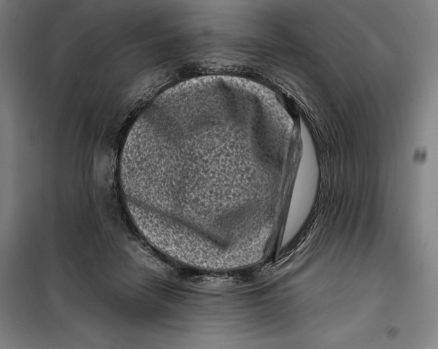 X0000099470458200805301600