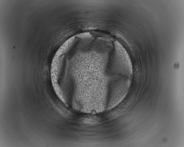 X0000099470459200805301600