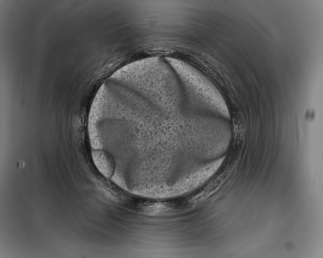 X0000099470460200805301600