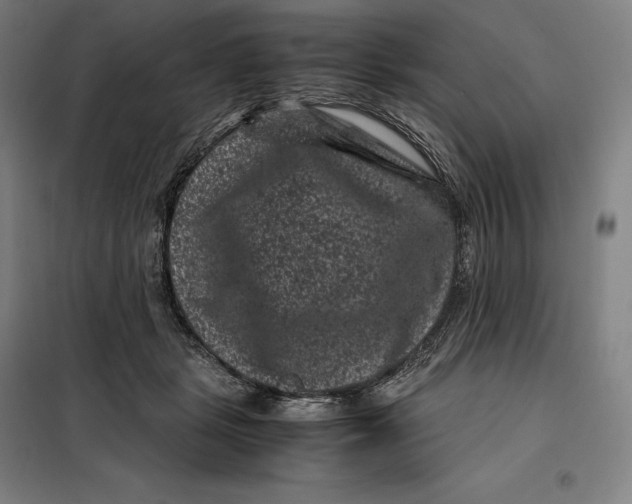 X0000099470461200805301600