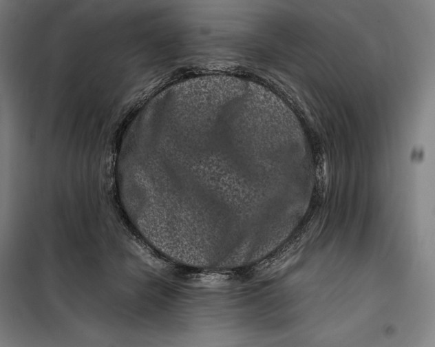 X0000099470462200805301600