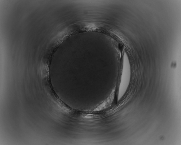 X0000099470467200805301600