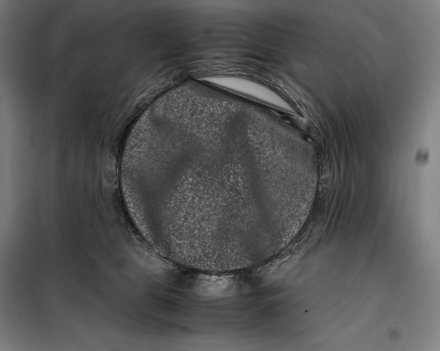 X0000099470469200805301600