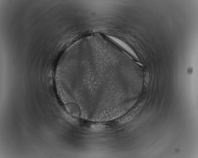 X0000099470470200805301600