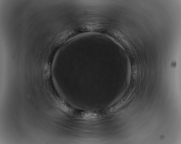 X0000099470471200805301600