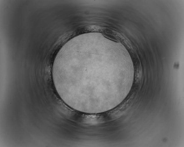 X0000099470473200805301600