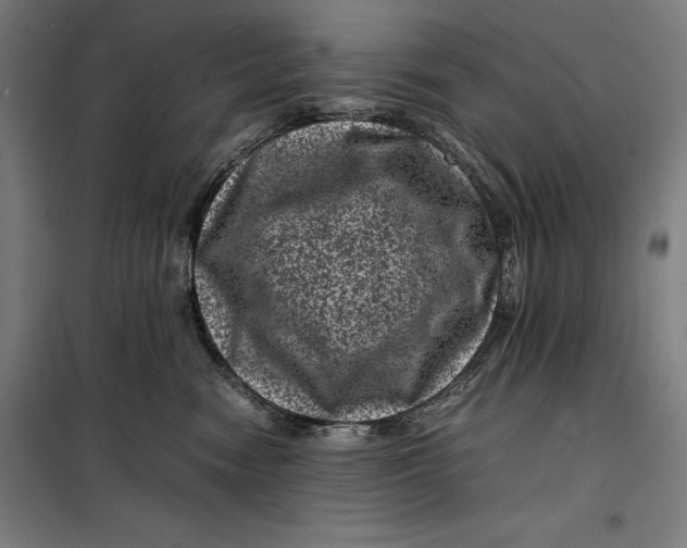 X0000099470474200805301600