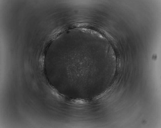 X0000099470475200805301600