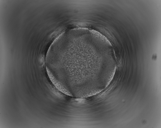 X0000099470478200805301600