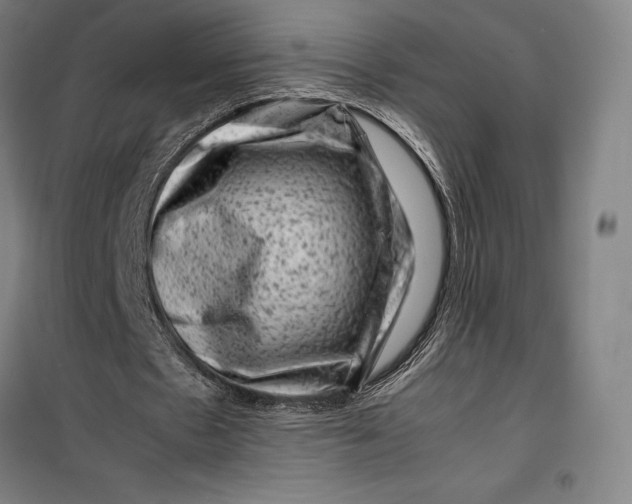 X0000099470481200805301600