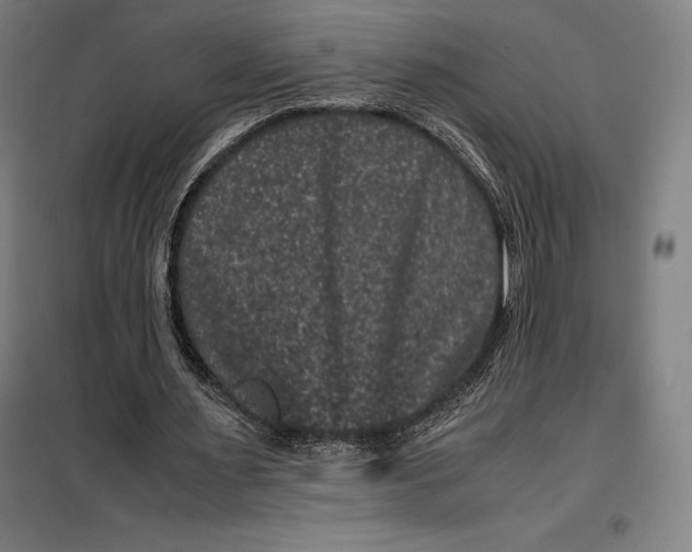 X0000099470483200805301559