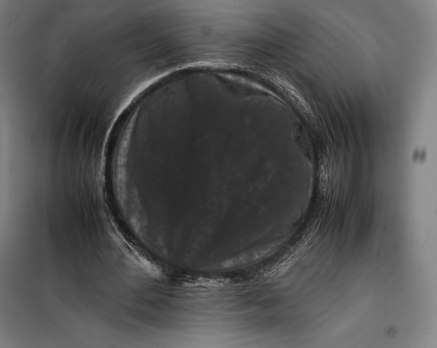 X0000099470484200805301559