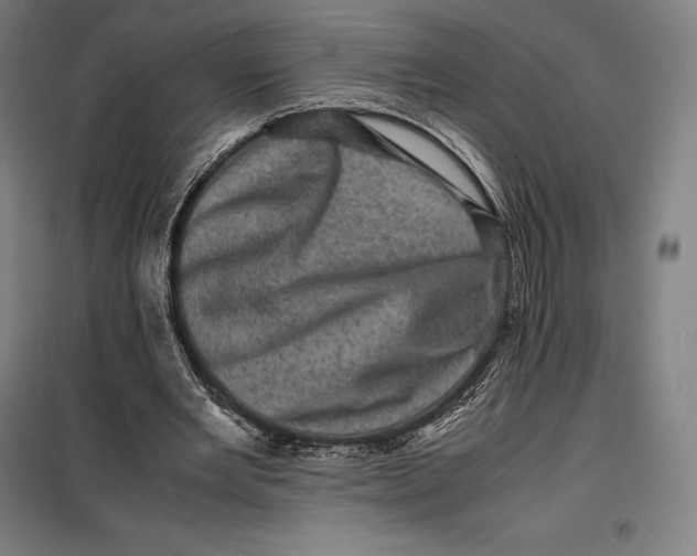 X0000099470485200805301559