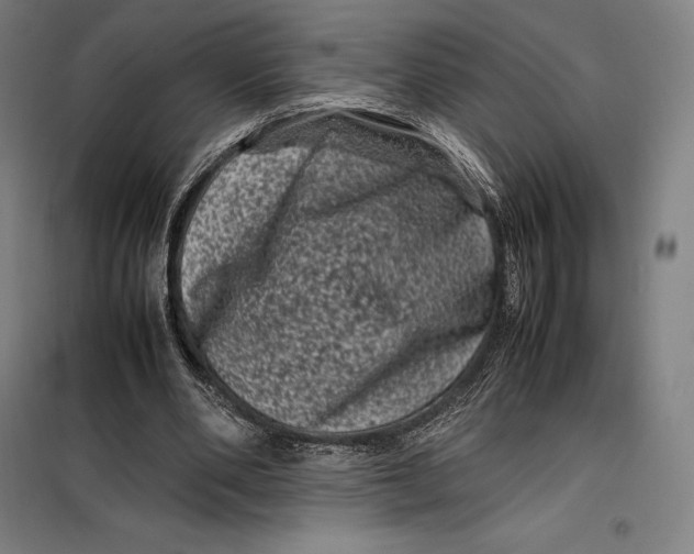 X0000099470486200805301559