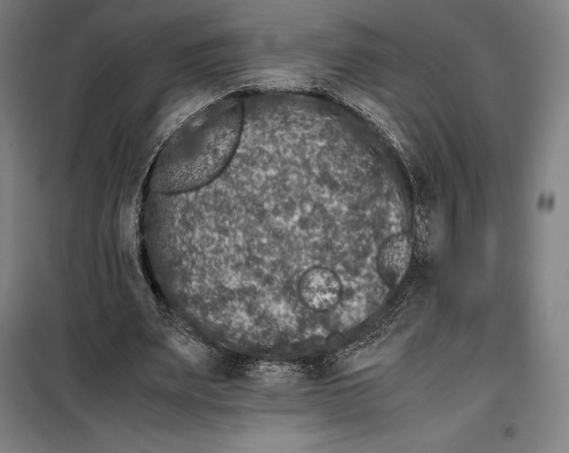 X0000099470487200805301559