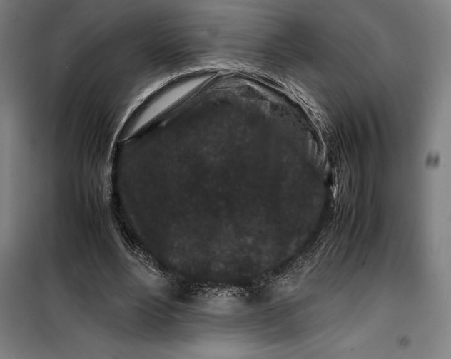 X0000099470488200805301559