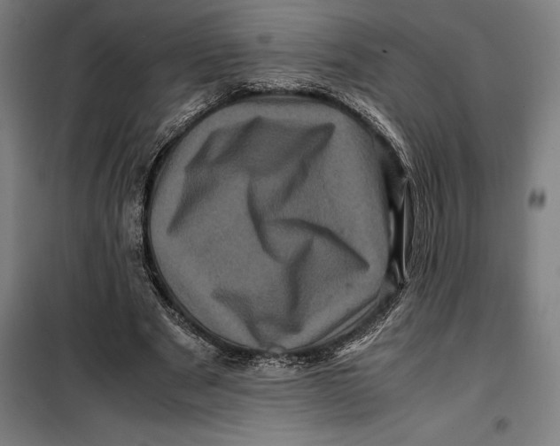 X0000099470489200805301559