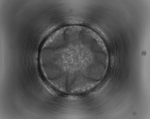 X0000099470490200805301559