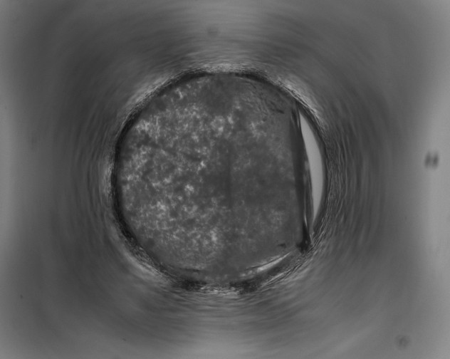 X0000099470491200805301559