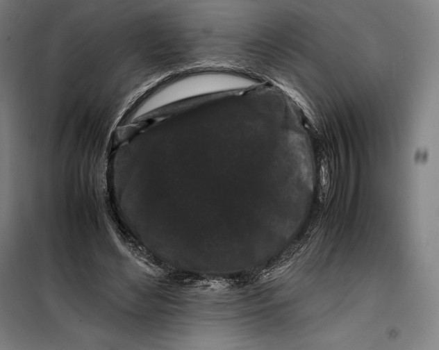 X0000099470492200805301559