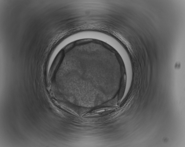 X0000099470493200805301559