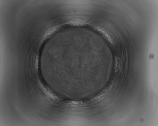 X0000099470494200805301559