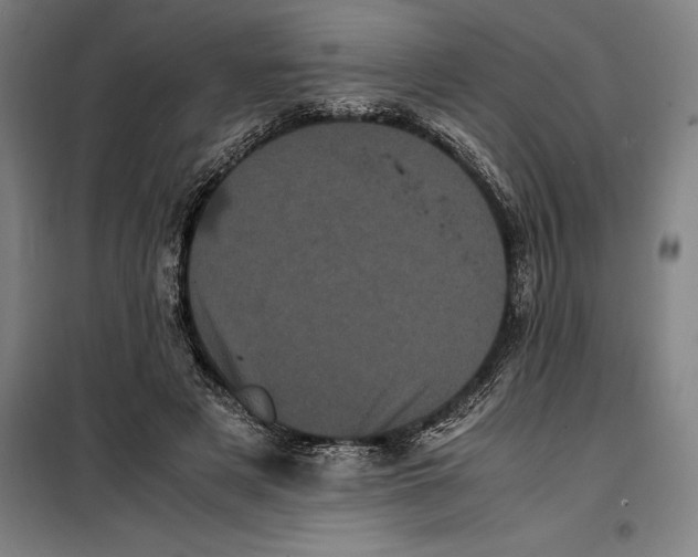 X0000099470497200805301559